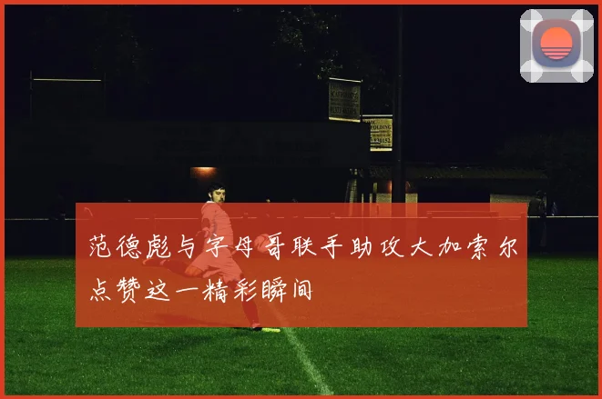 范德彪与字母哥联手助攻大加索尔点赞这一精彩瞬间