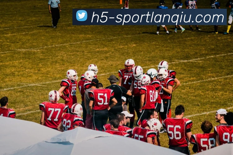 篮球赌注平台生态图